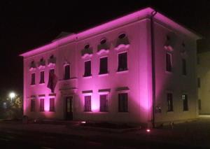 19.11. - svetovni dan raka trebušne slinavke